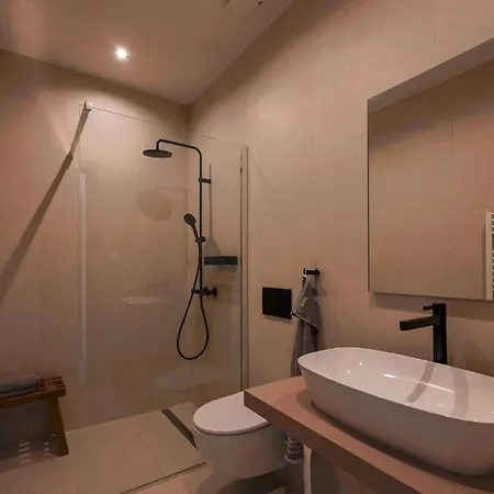 Nice In With Heated Swimming Pool Feriehus Sorici